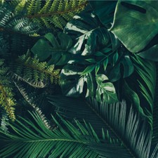 VLIES FOTOTAPETE Tapete