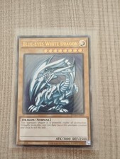 Blue Eyes White Dragon