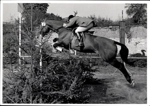 Foto springreiten sprung - springreiten,,