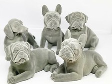 Französische bulldogge mops - französische,