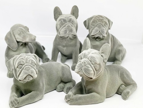 Französische bulldogge mops - französische,