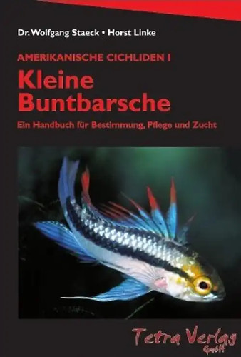 Kleine buntbarsche - kleine,