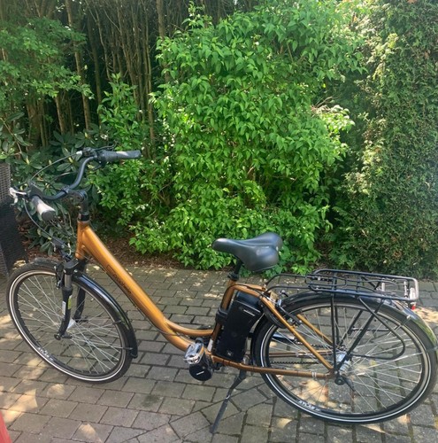 Prophete bike damen - prophete,