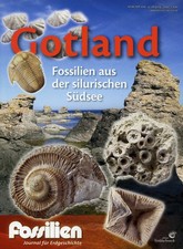 Sonderheft Fossilien, Gotland, Fossilien aus der silurischen Südsee
