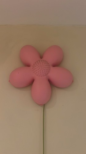 Ikea smila blomma - blomma, rosa