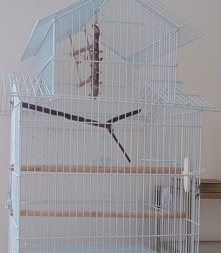 Große weiße vogelkäfig mit - weiße,