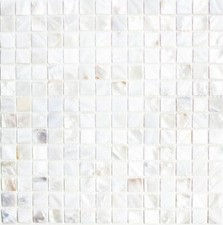 Mosaik Fliese Muschel perlmutt