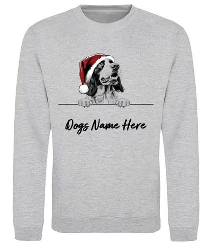Springer spaniel - springer,