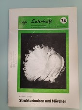 Rassekunde Strukturtauben und