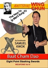 Mastering Wing Chun Vol.6