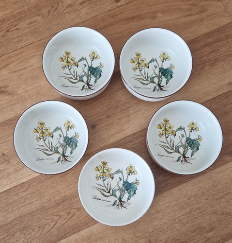 Villeroy boch botanica - &,