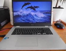 Neuwertig ASUS Chromebook 17,3