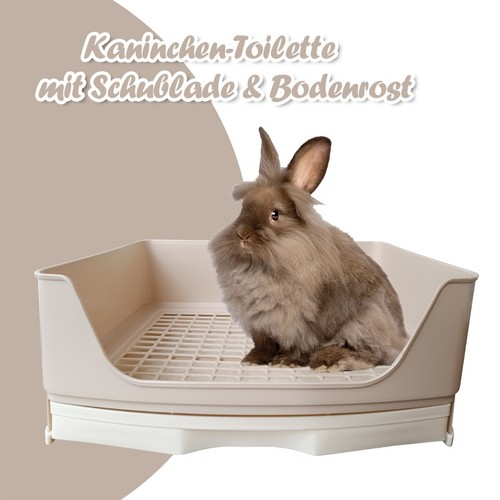 Kaninchen toilette - kaninchen,