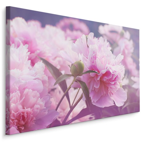Canvas leinwand bilder - bilder, xxl