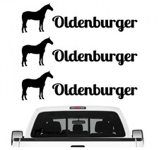 Oldenburger sportpferd - oldenburger,