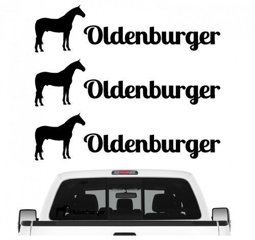 Oldenburger sportpferd - oldenburger,