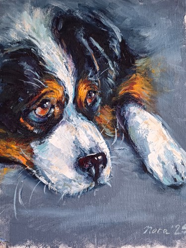 Sheltie hund porträt original - sheltie,