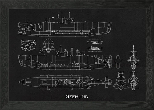 Seehund framed wall art poster - framed,
