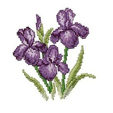 Stickpackungen Vorgedruckt