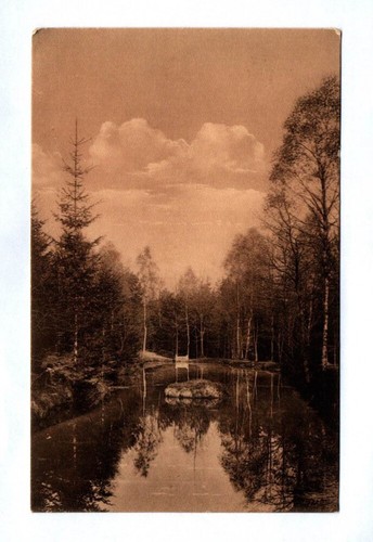 Forellenteich bei - ak,