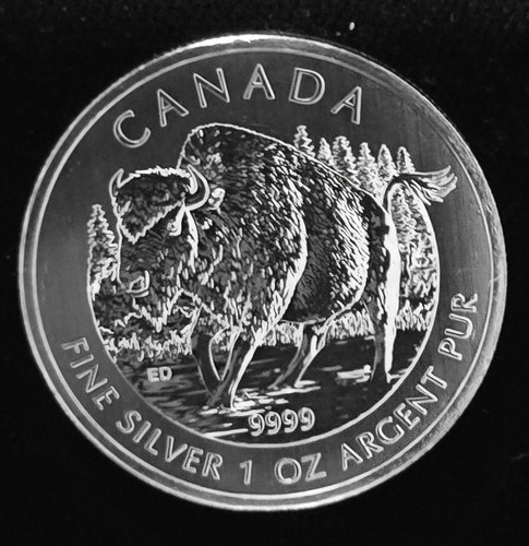 1oz 999 pure silver 2013 - 1oz,