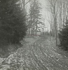 Chemin De Wald Foto Platte De