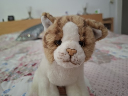 Katze plüschtier gebraucht - katze,,