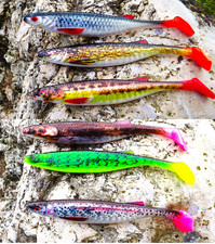 6 Stück Gummifische Shad 3 D