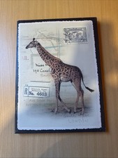 Wandbild Giraffe