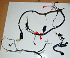 Kabelbaum  komplett Euro 5 Luxxon XXLine Longjia Shappy LJ50QT-4B