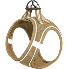 Hundegeschirr für kleine und