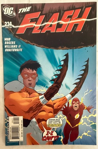 The flash 234 - flash, #234