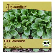 BIO Feldsalat Samen Vit Gemüse-Samen Saatgut Feldsalatsamen