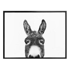 Poster Sisi & Seb - Der Esel