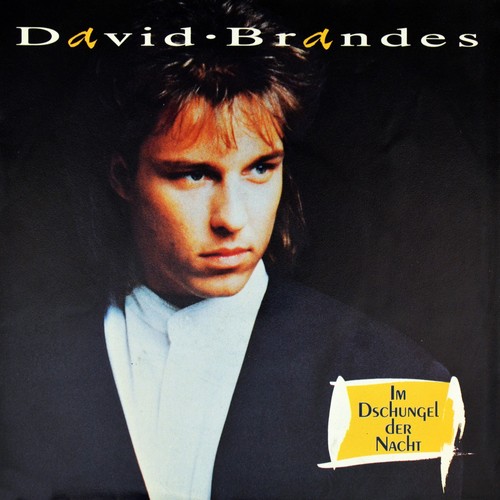 David brandes xanadu im - 7",