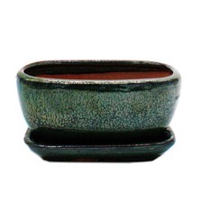Bonsai-Schale mit Unterteller
