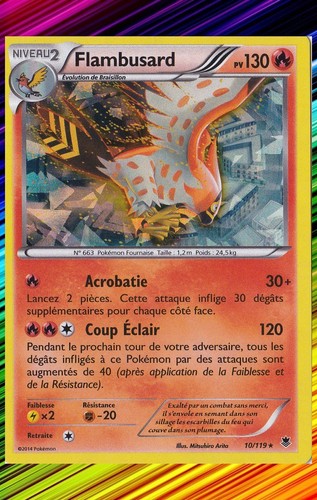 Flambusard holo - flambusard,