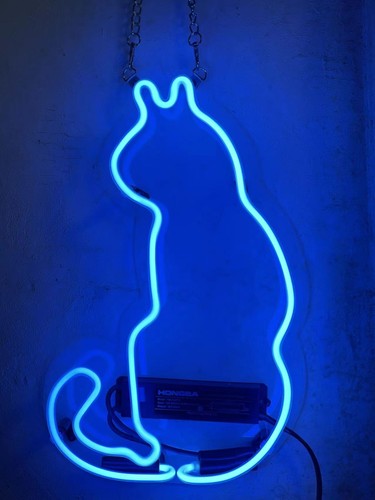 Blaue katze zurück neon sign - neon,
