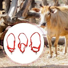 Pferdeseil Trainingshalfter