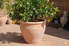 Pflanzkübel,Streifenmuster,Bl