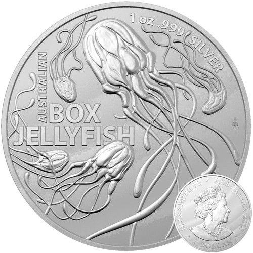 Box jellyfish 2023 - box,