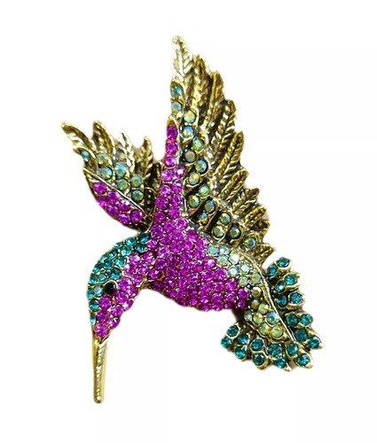 Brosche kolibri paradiesvogel - brosche,