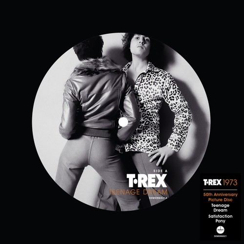 Rex teenage dream - t.rex,