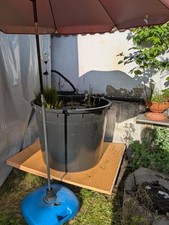 350 Liter Kübel/Bottich/Hochteich von (Kauf)Bauer