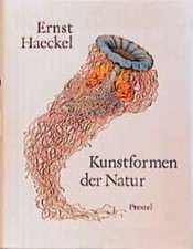 Ernst Haeckel Kunstformen der