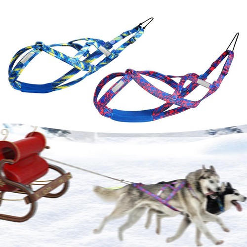 Husky geschirr bikejöring - husky-geschirr,
