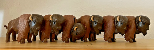 Playmobil bison büffel - 6x,