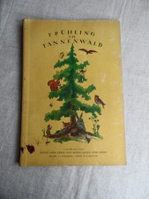 FRÜHLING IM TANNENWALD -