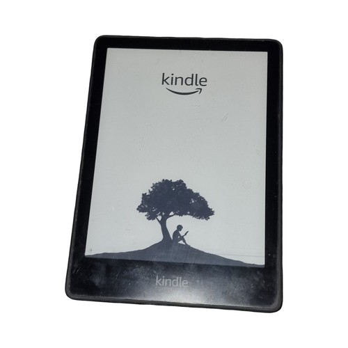 Amazon kindle reader - kindle, e-reader