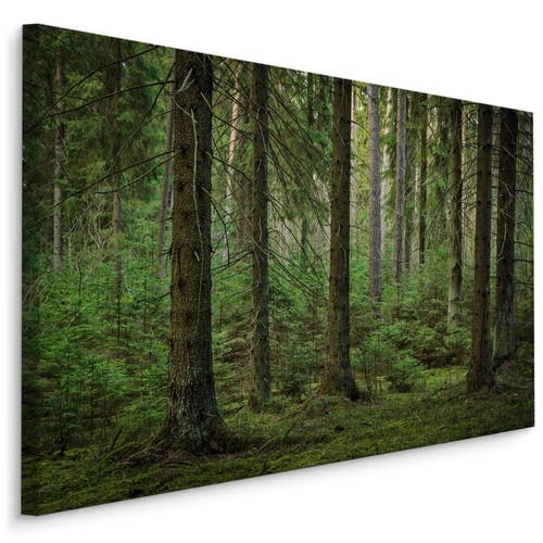 Fabelhafte canvas leinwand - canvas,